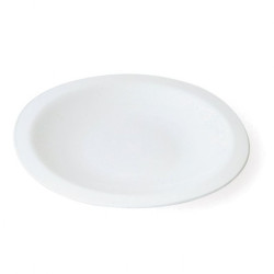 Assiette plastique plate...