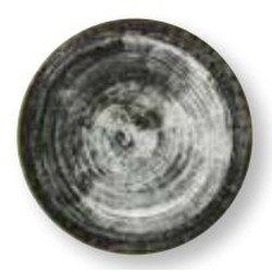Assiette plate Ø28cm...